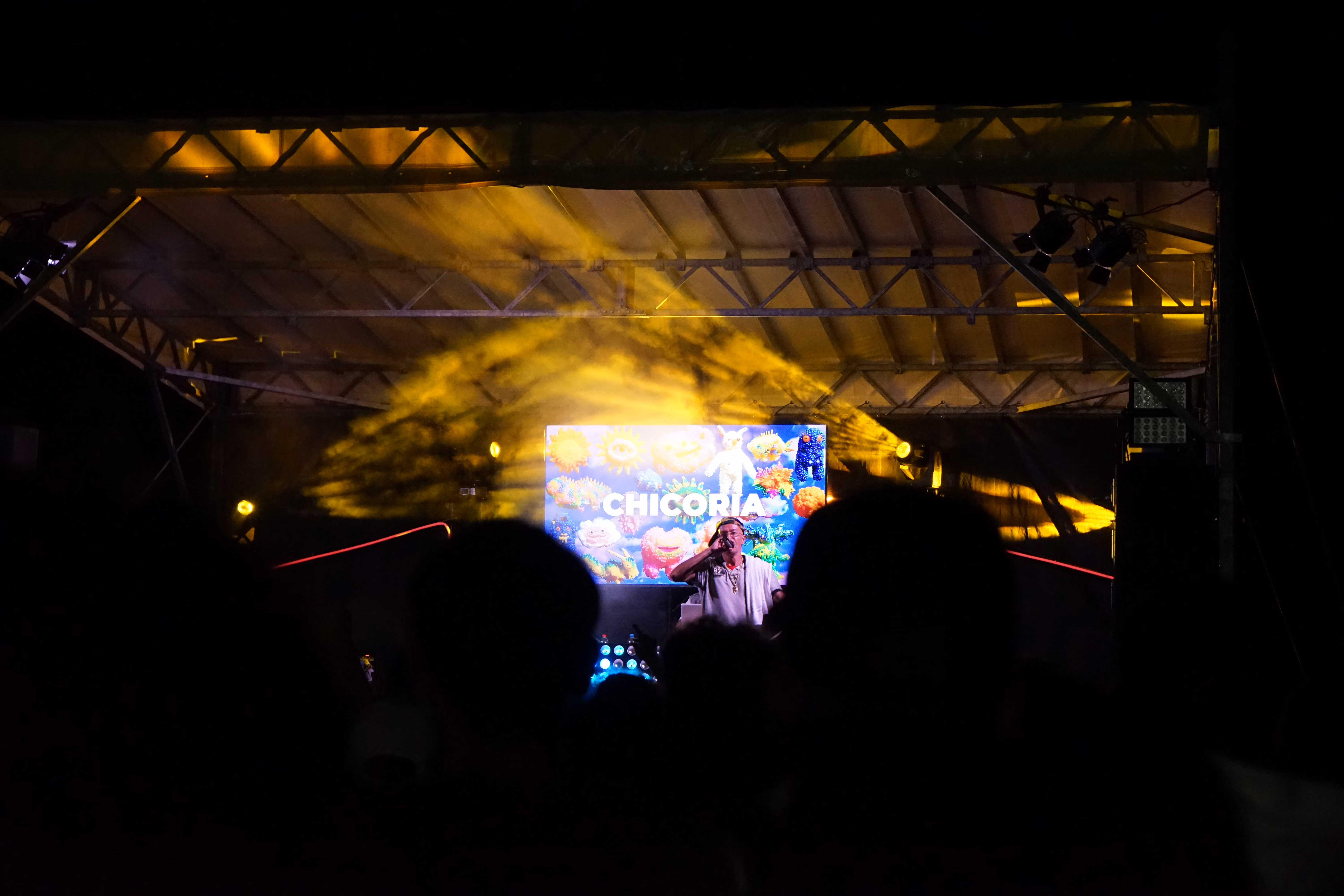 Laveno End Of Summer Fest, foto 17