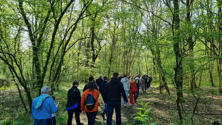 Persone in cammino nel bosco